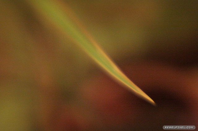 In a blur. In a blur.