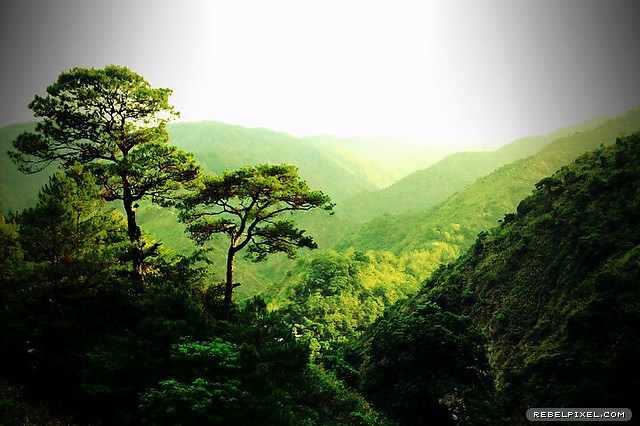 The view from the Lion&#8217;s head in Baguio.