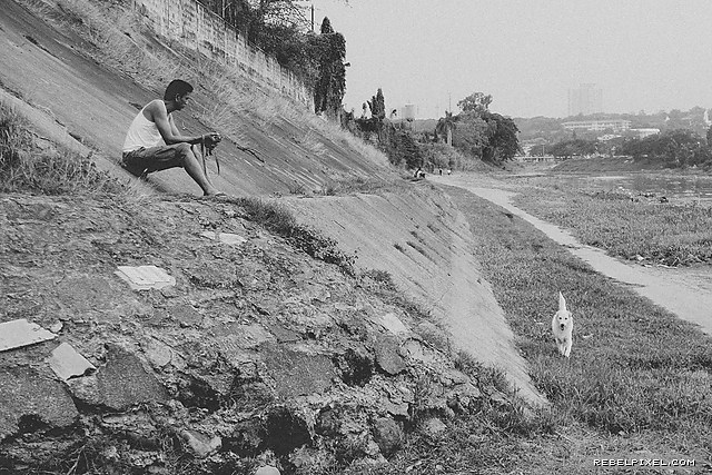 A man and his dog. A man and his dog.